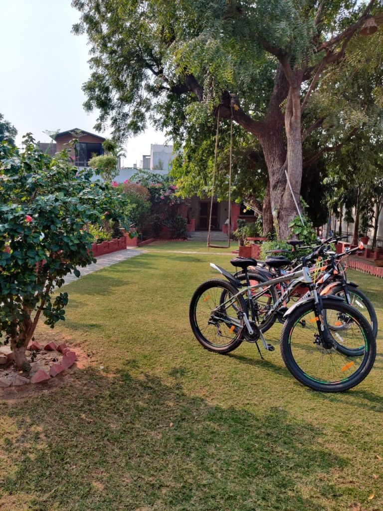 Scenic cycling amidst nature2